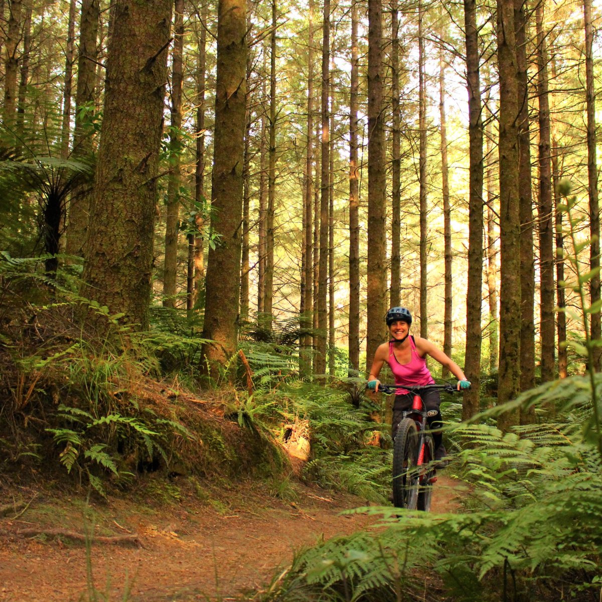 The Ultimate Guide to Full Suspension E-Bikes in NZ: Performance, Tech, and Trails