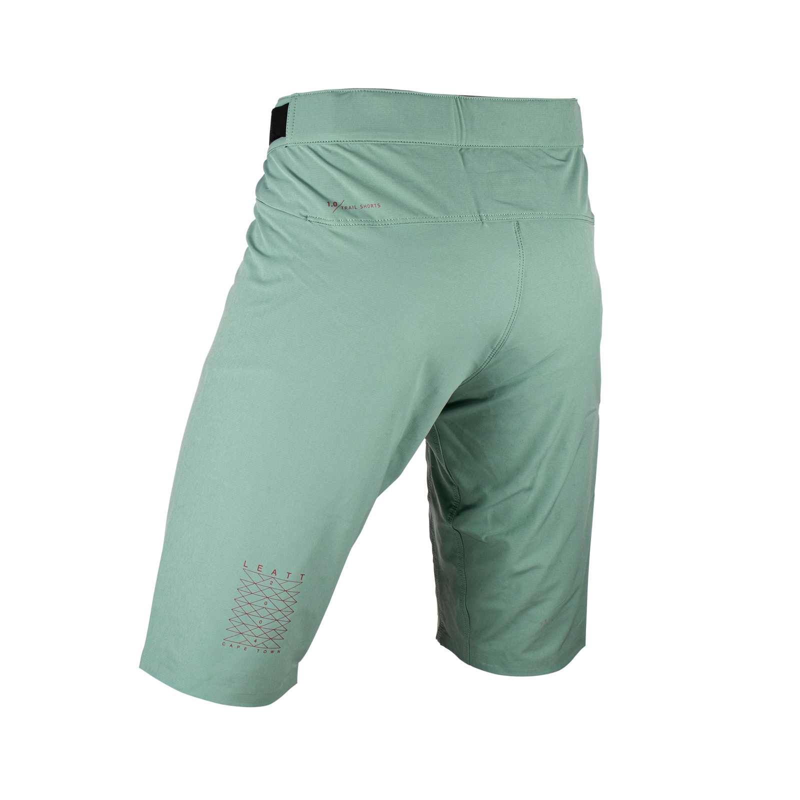 Leatt 2023 Shorts MTB Trail 1.0 (Pistachio)