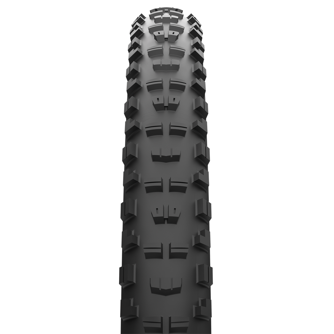 MAXXIS - NEW MAXXTERRA MINION DHR II