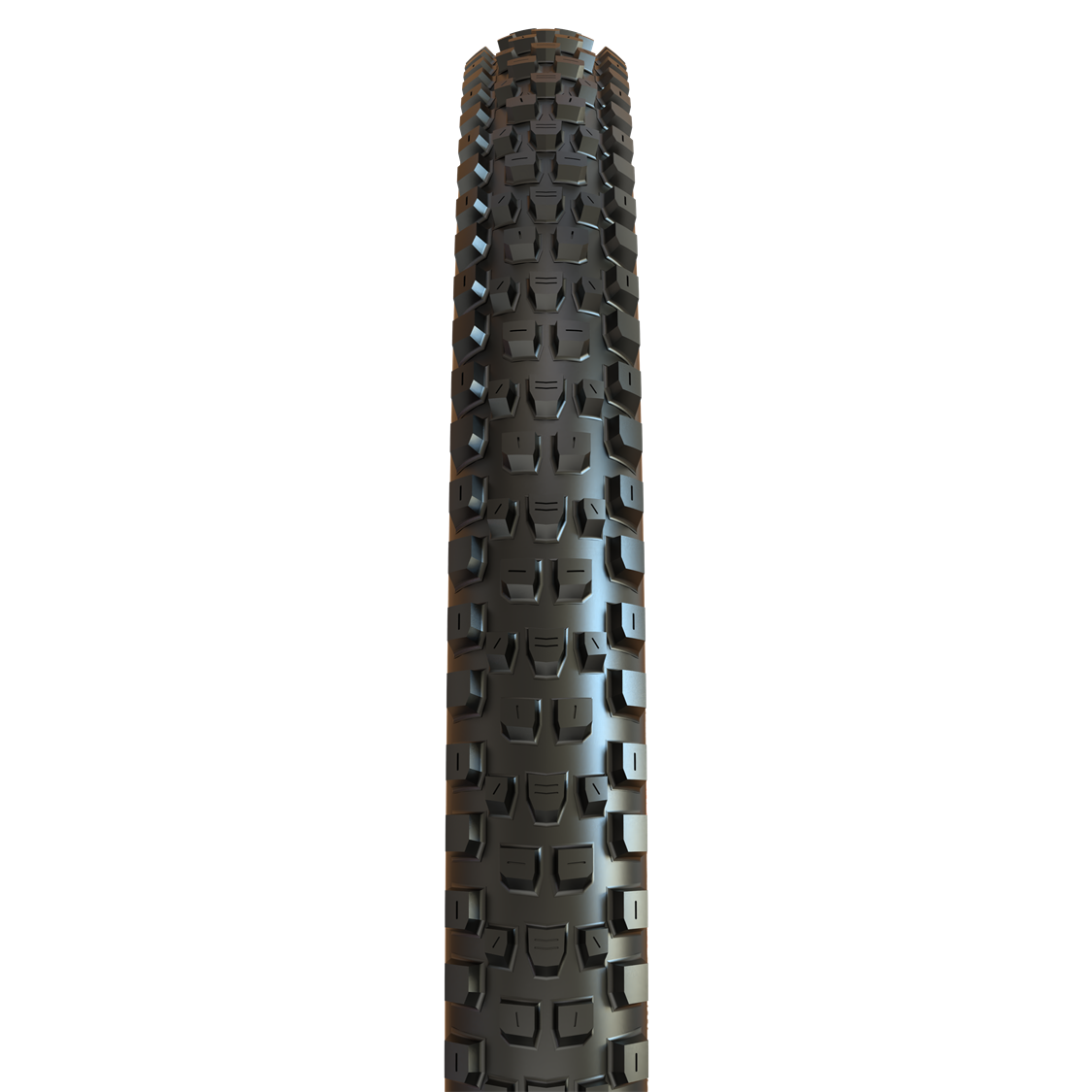 Maxxis Dissector G2 29"