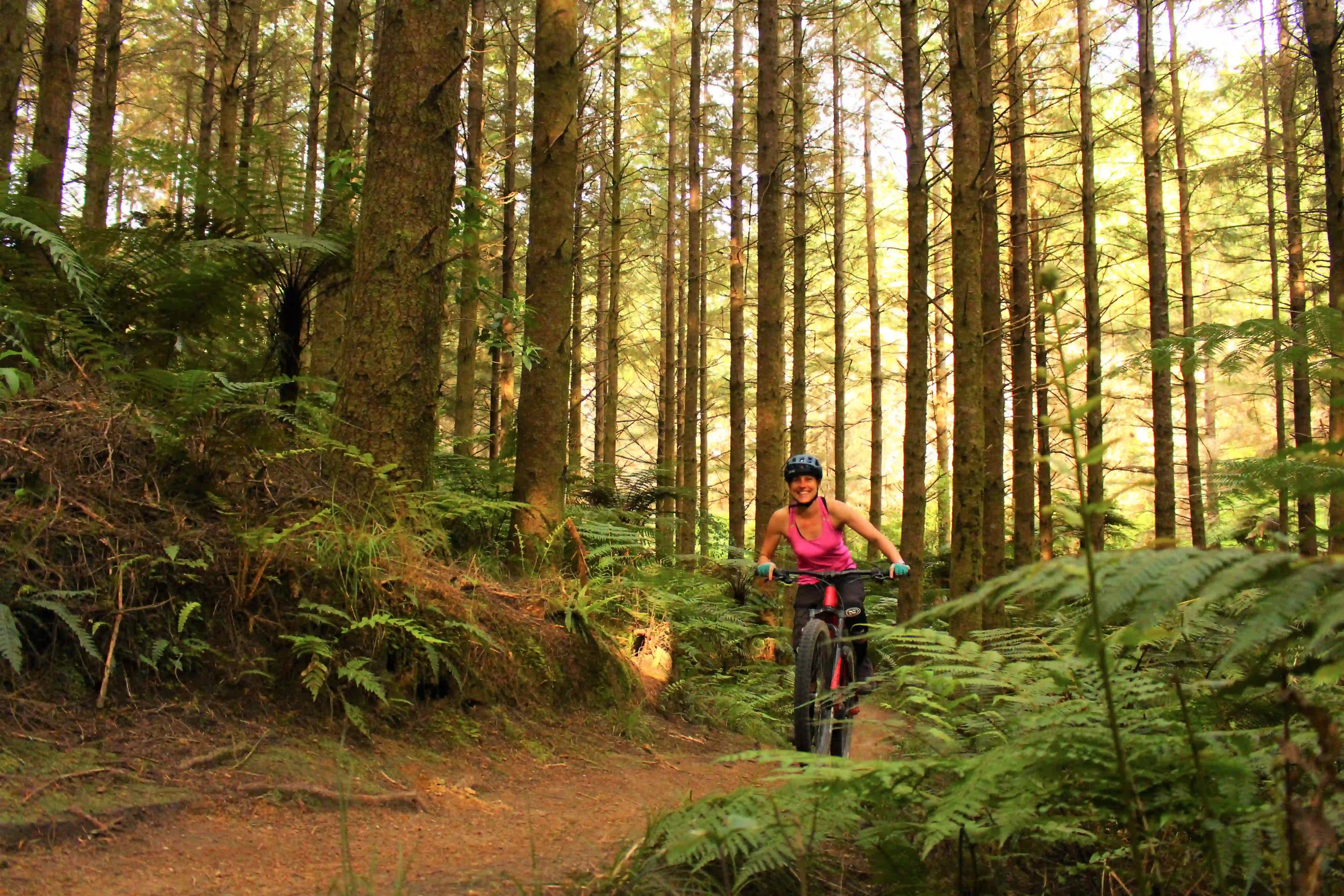 Person riding an E-bike rental through the Rotorua Redwoods Forest with sunlight filtering through the trees