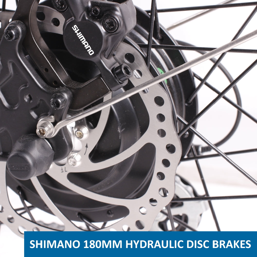 Bionic Cruiser rear disc brake Shimano