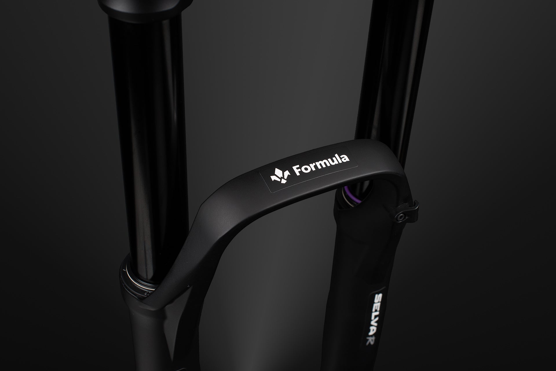 Formula MTB fork Selva