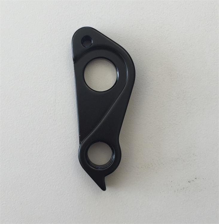 Focus Derailleur Hanger