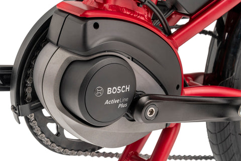 Tern Vektron Q9 Bosch Active Plus 400w/h E-Bike