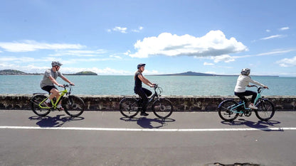 Bionic City-X3 Sensor Drive Cruiser E-bike in action 2