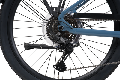 Wattwheels Bighorn LS V5 E-Bike