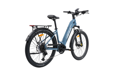 Wattwheels Bighorn LS V5 E-Bike