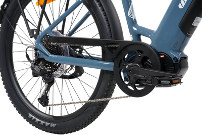 Wattwheels Bighorn LS V5 E-Bike