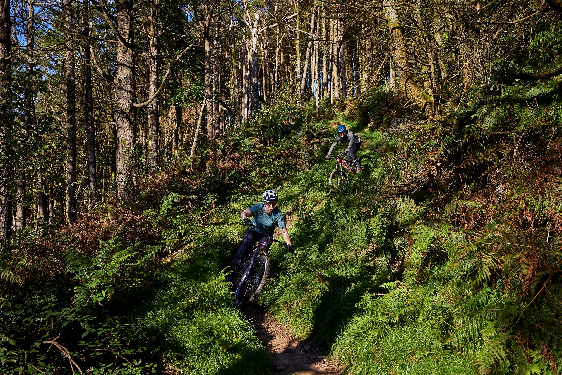 Whyte E-Lyte EVO Stag Works E-Mountain Bike in action5