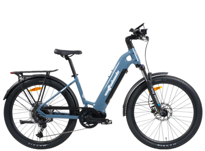 Wattwheels Bighorn LS V5 E-Bike