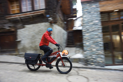 Benno Boost Speeds (45kph) Easy-On Cargo E-bike-lifestyle
