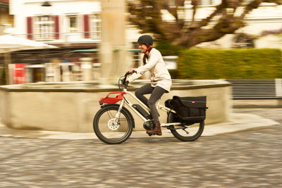 Benno Boost Speeds (45kph) Easy-On Cargo E-bike-lifestyle
