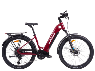 Wattwheels Bighorn LS V5 E-Bike