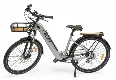 Black Roam ST e-bike