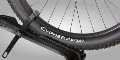 Buzzrack Scorpion Pro 2