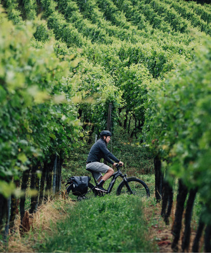 Cannondale Tesoro Neo X 3 E-Trekking In action 3