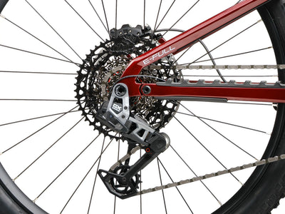 Close-up of aCrussis e-Full 12.11 E-MTB rear wheel and gear system on a white background