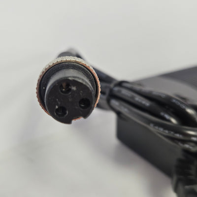 Dualtron 60V scooter charger- Plus