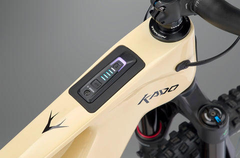 Whyte Kado RS E-Mountain Bike