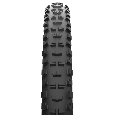 MAXXIS - NEW MAXXTERRA MINION DHR II