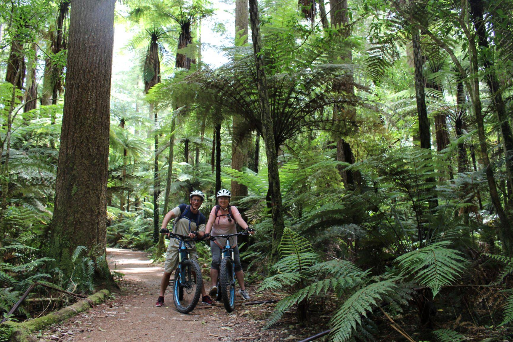 Two people riding bicycles through a dense forest