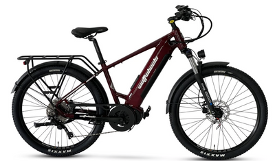 Wattwheels Bighorn S V4 electric bicycle on a white background