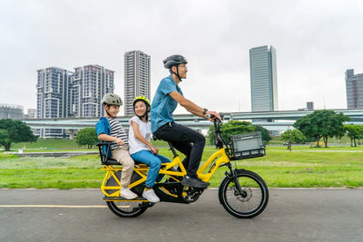 Tern HSD & GSD Captain's Chair G2