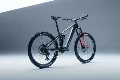 Steppenwolf Tundra 10 Mountain bike on a gray background