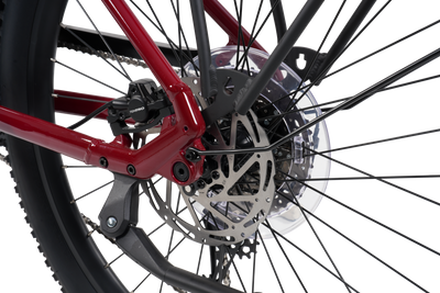 Close-up of a bicycle rear wheel showing a matte red frame, black spokes, a silver disc brake rotor, and a black tire against a white background.