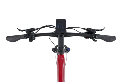Wattwheels Bighorn S V5 E-Bike