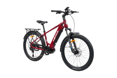 A red and black electric mountain bike with a rear cargo rack, front suspension fork, and fenders, shown from a three-quarters angle on a white background.
