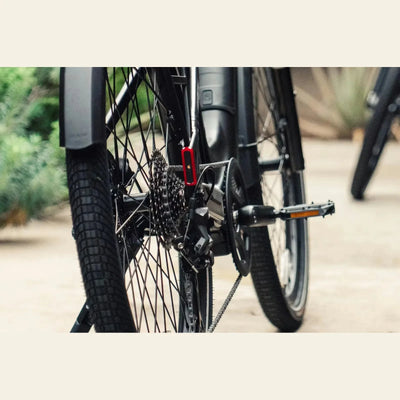 Close-up of Aventon ADV bicycle wheel and chain on a blurred natural background