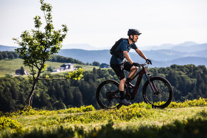 Moustache Wide in action