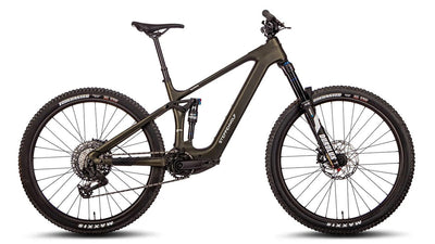 Steppenwolf Tundra 9 in green Mountain bike on a white background