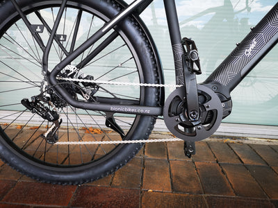 Bionic Sprint Mid Drive | 2021 E-bike
