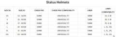 100% STATUS Helmet Drop/Steel Blue