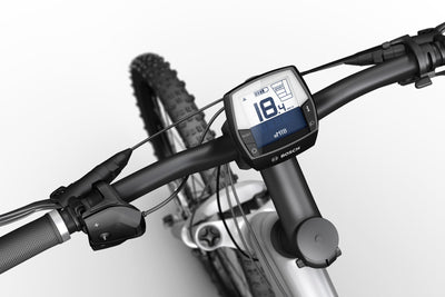 Bosch Intuvia Display