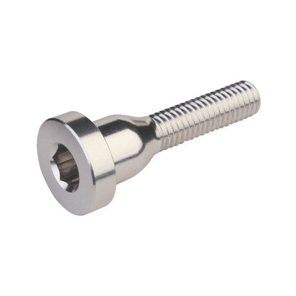 Burgtec Top Cap bolt - Silver